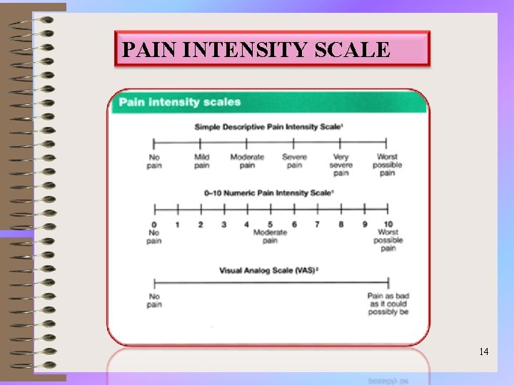 PAIN INTENSITY SCALE 14 
