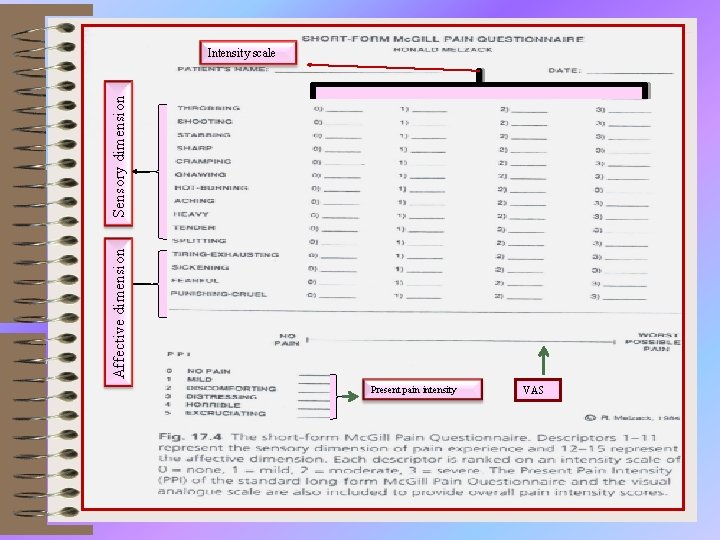 Affective dimension Sensory dimension Intensity scale Present pain intensity VAS 