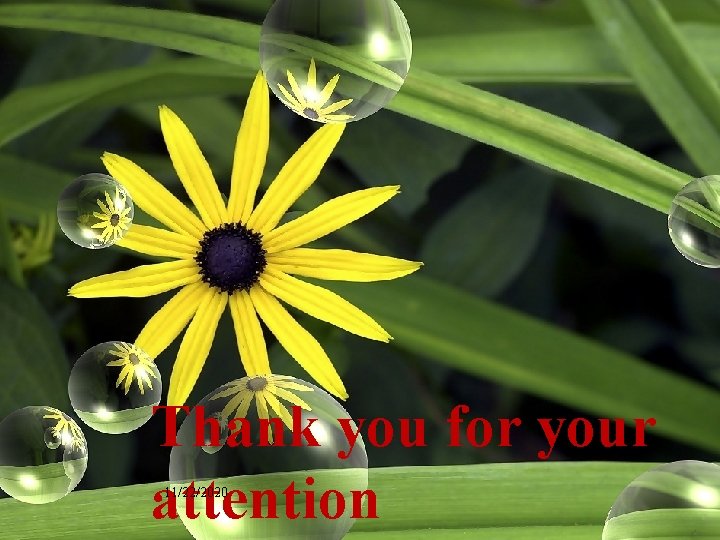 Thank you for your attention 11/22/2020 
