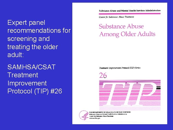 Substance Abuse And Older Adults Lawrence Schonfeld Ph