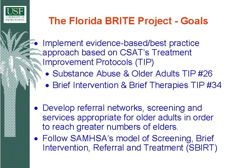 Substance Abuse And Older Adults Lawrence Schonfeld Ph