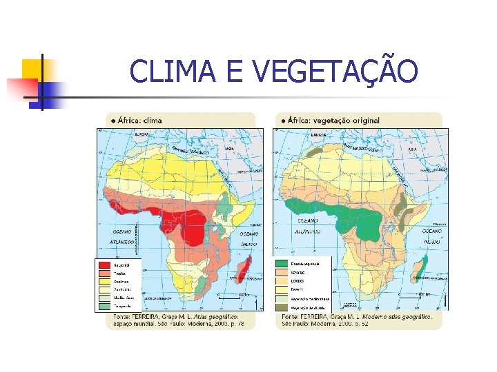 CLIMA E VEGETAÇÃO 