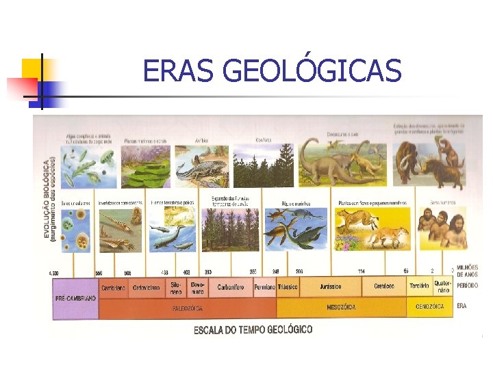 ERAS GEOLÓGICAS 