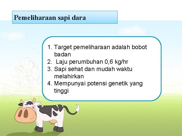 Pemeliharaan sapi dara 1. Target pemeliharaan adalah bobot badan 2. Laju perumbuhan 0, 6