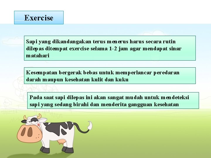 Exercise Sapi yang dikandangakan terus menerus harus secara rutin dilepas ditempat exercise selama 1