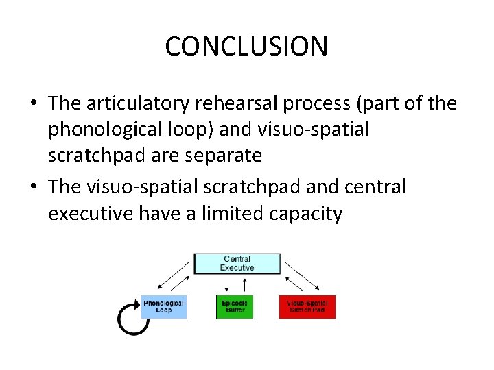 CONCLUSION • The articulatory rehearsal process (part of the phonological loop) and visuo-spatial scratchpad CONCLUSION • The articulatory rehearsal process (part of the phonological loop) and visuo-spatial scratchpad