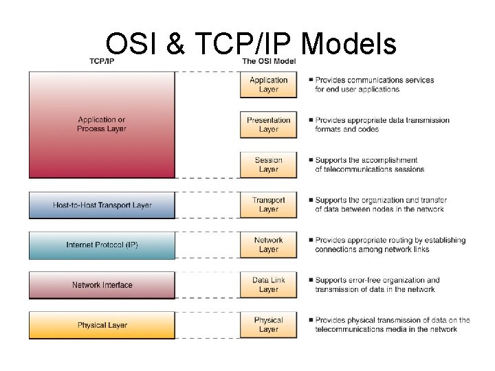 OSI & TCP/IP Models 