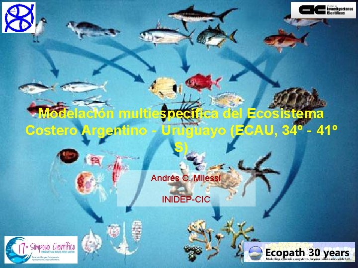 Modelación multiespecífica del Ecosistema Costero Argentino‐Uruguayo (ECAU, 34º‐ 41º S) Andrés C. Milessi INIDEP-CIC