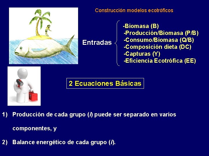 Construcción modelos ecotróficos Entradas -Biomasa (B) -Producción/Biomasa (P/B) -Consumo/Biomasa (Q/B) -Composición dieta (DC) -Capturas