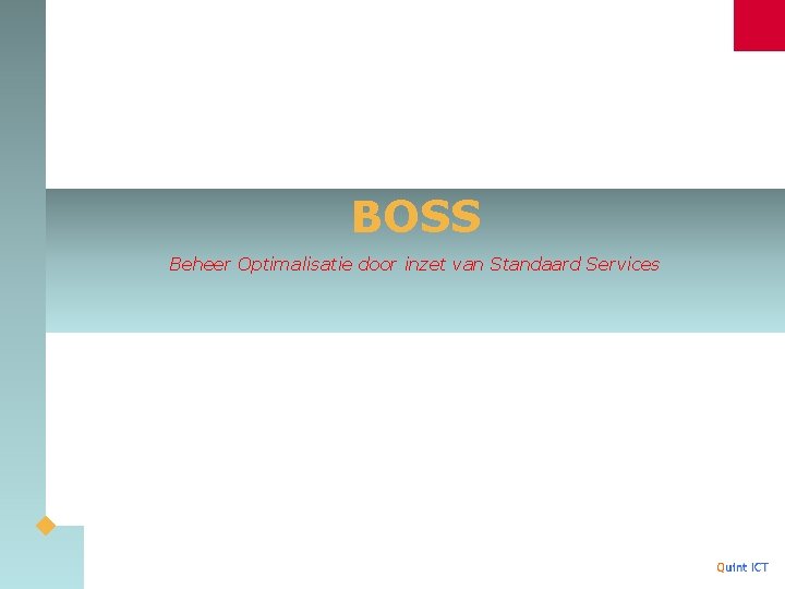 BOSS Beheer Optimalisatie door inzet van Standaard Services 