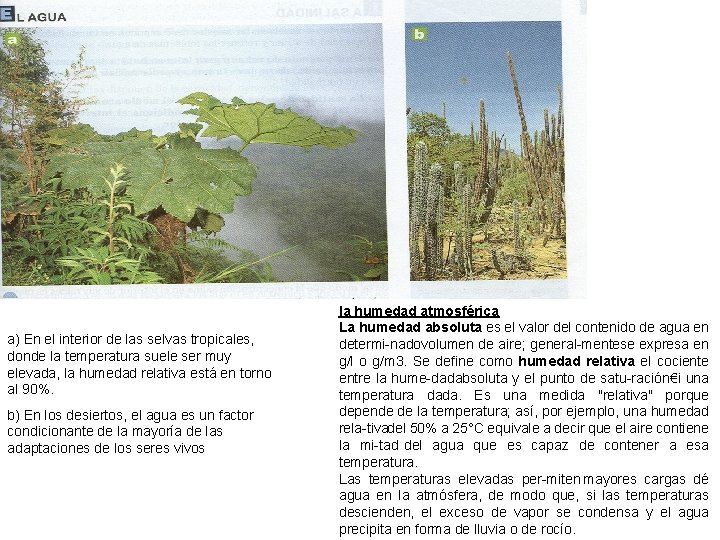 a) En el interior de las selvas tropicales, donde la temperatura suele ser muy