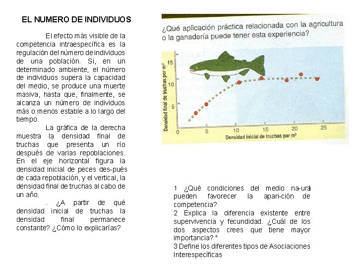 EL NUMERO DE INDIVIDUOS El efecto más visible de la competencia intraespecífica es la