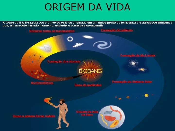 A Origem Da Vida Atribuída A Um Ser Criador é