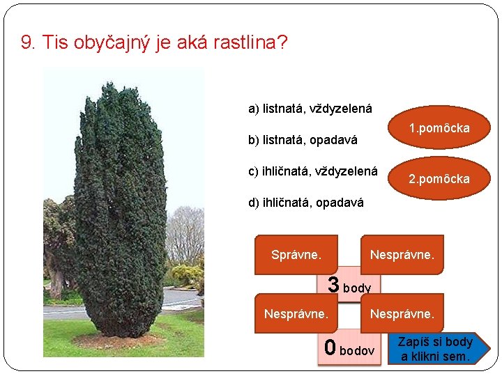 9. Tis obyčajný je aká rastlina? a) listnatá, vždyzelená 1. pomôcka b) listnatá, opadavá