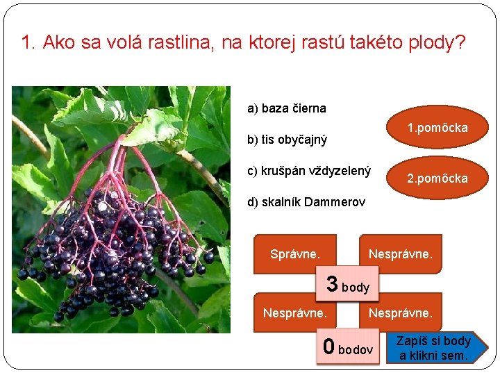 1. Ako sa volá rastlina, na ktorej rastú takéto plody? a) baza čierna 1.