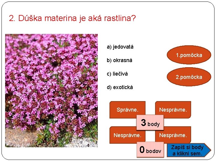 2. Dúška materina je aká rastlina? a) jedovatá 1. pomôcka b) okrasná c) liečivá