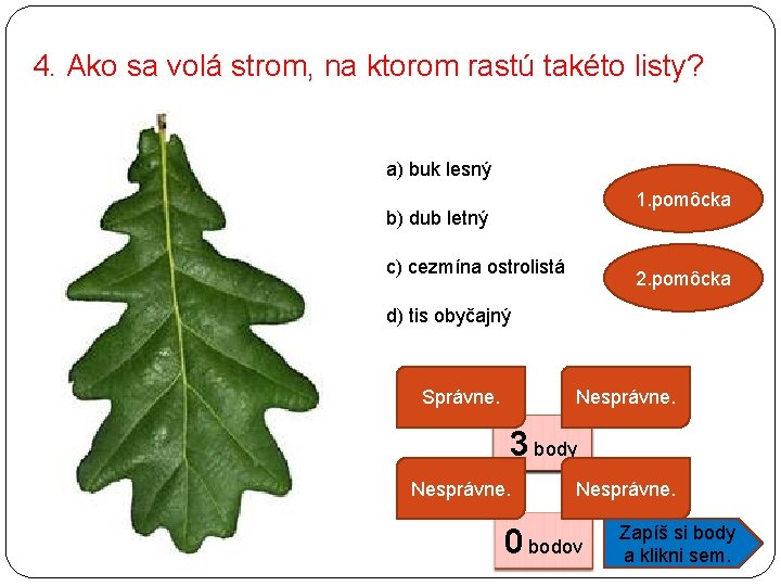 4. Ako sa volá strom, na ktorom rastú takéto listy? a) buk lesný 1.