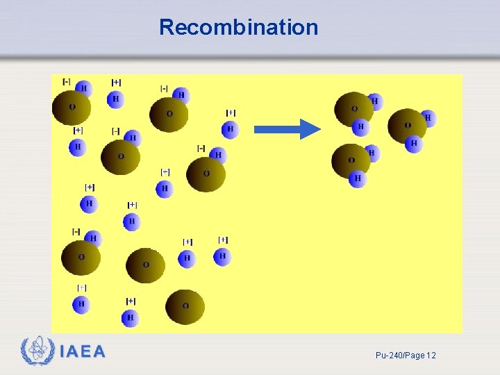 Recombination IAEA Pu-240/Page 12 