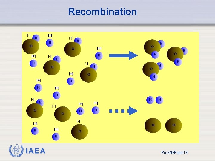 Recombination IAEA Pu-240/Page 13 