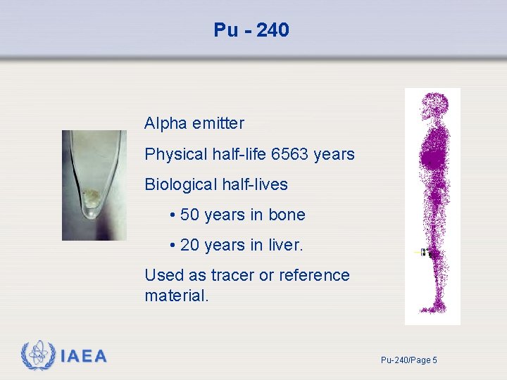 Pu - 240 Alpha emitter Physical half-life 6563 years Biological half-lives • 50 years