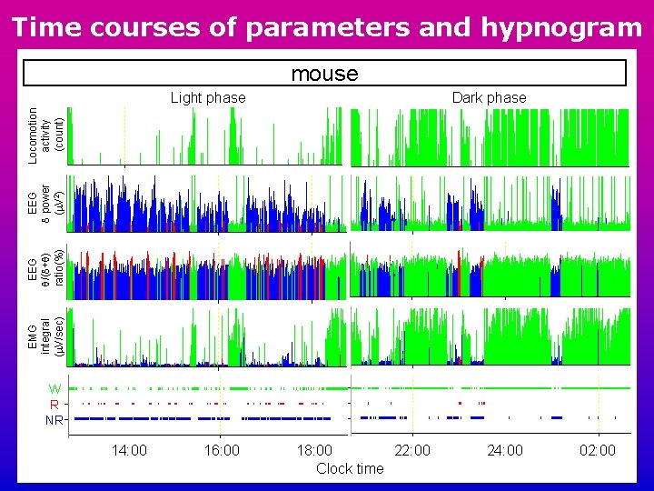 Time courses of parameters and hypnogram mouse Dark phase EMG integral (m. V/sec) EEG