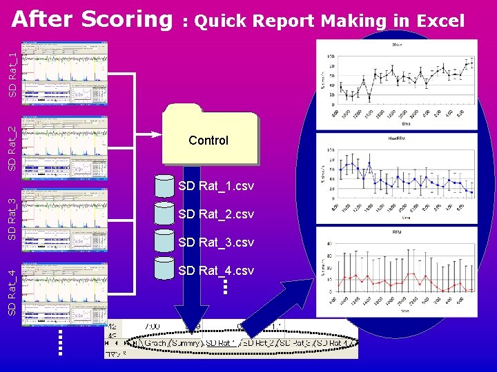 : Quick Report Making in Excel SD Rat_2 SD Rat_1 After Scoring Control SD