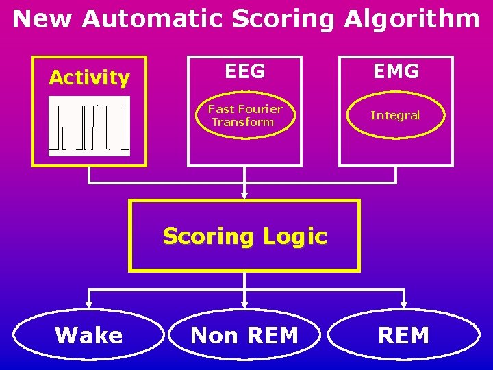 New Automatic Scoring Algorithm Activity EEG EMG Fast Fourier Transform Integral Scoring Logic Wake