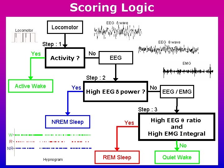 Scoring Logic EEG δ wave Locomotor EEG θ wave Step : 1 Yes Activity