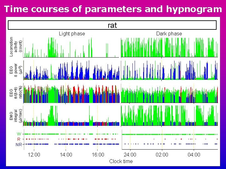 Time courses of parameters and hypnogram rat Dark phase EMG integral (m. V/sec) EEG