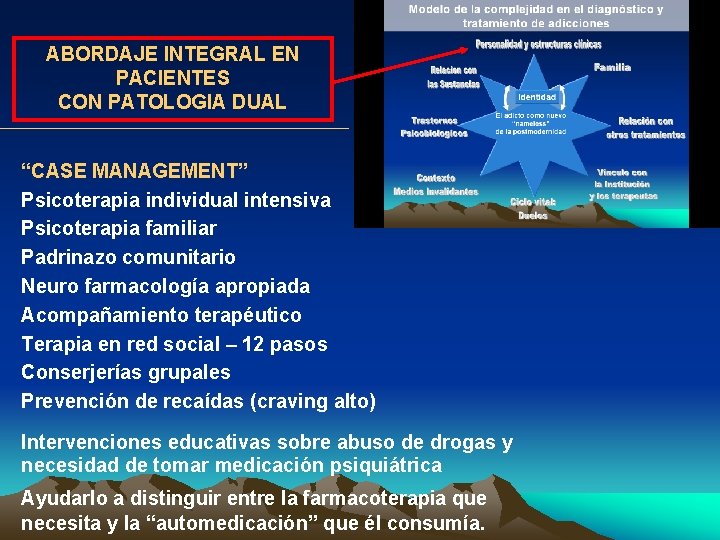 ABORDAJE INTEGRAL EN PACIENTES CON PATOLOGIA DUAL “CASE MANAGEMENT” Psicoterapia individual intensiva Psicoterapia familiar