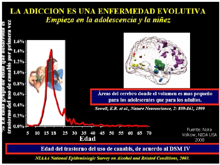 Fuente: Nora Volkow, NIDA USA 2008 