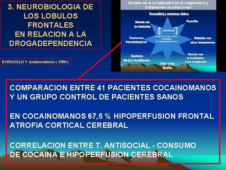 3. NEUROBIOLOGIA DE LOS LOBULOS FRONTALES EN RELACION A LA DROGADEPENDENCIA KORUOGLU Y colaboradores