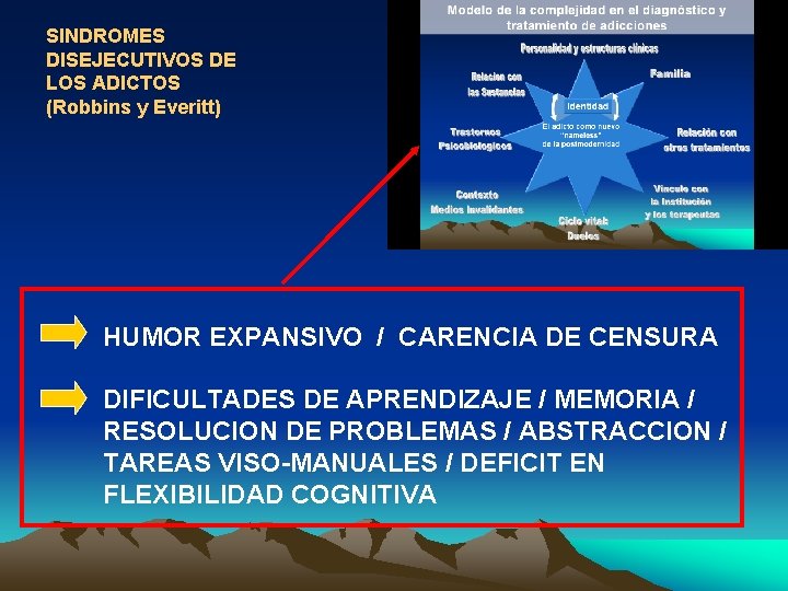 SINDROMES DISEJECUTIVOS DE LOS ADICTOS (Robbins y Everitt) HUMOR EXPANSIVO / CARENCIA DE CENSURA