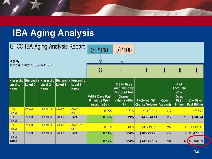 IBA Aging Analysis 14 