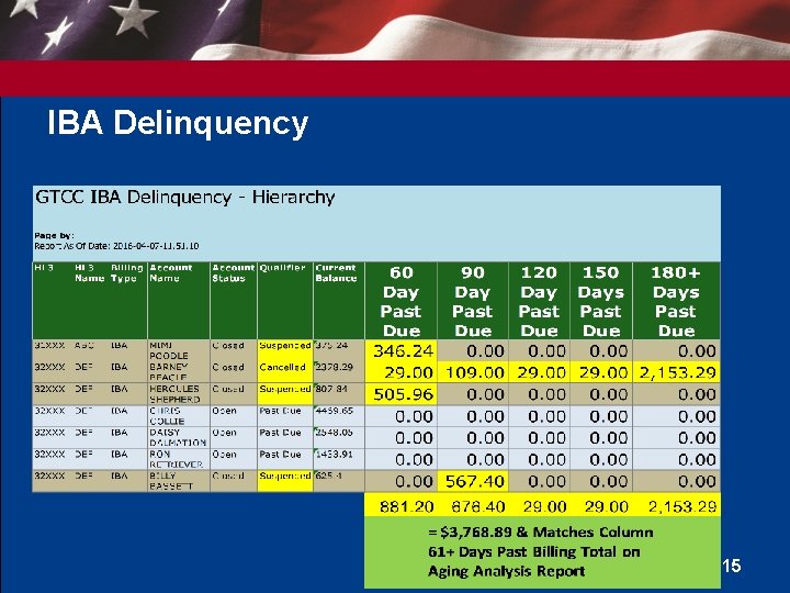 IBA Delinquency 15 