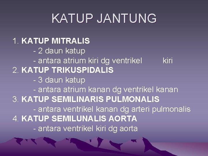 KATUP JANTUNG 1. KATUP MITRALIS - 2 daun katup - antara atrium kiri dg