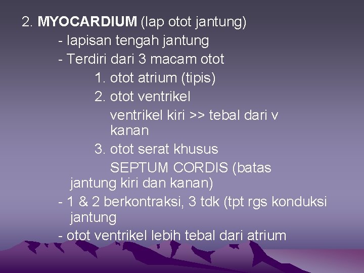 2. MYOCARDIUM (lap otot jantung) - lapisan tengah jantung - Terdiri dari 3 macam