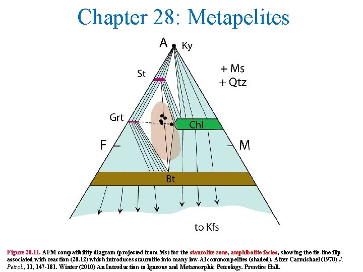 Chapter 28: Metapelites Figure 28. 11. AFM compatibility diagram (projected from Ms) for the