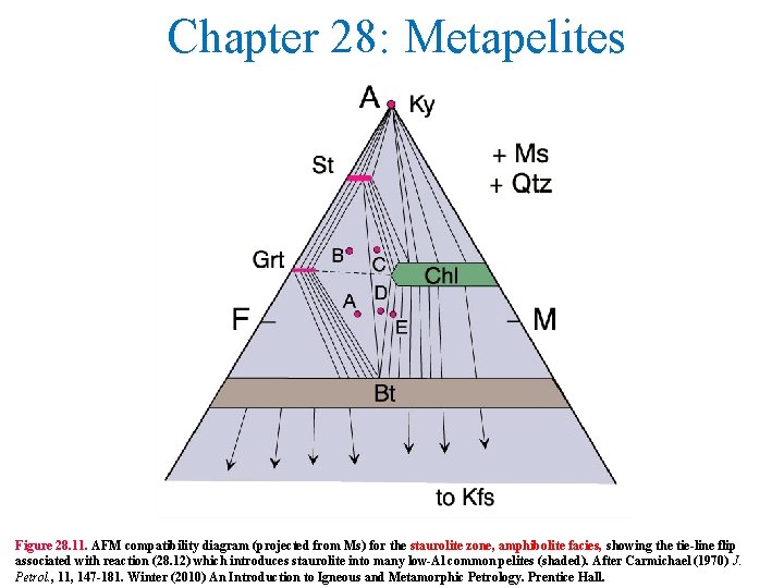 Chapter 28: Metapelites Figure 28. 11. AFM compatibility diagram (projected from Ms) for the