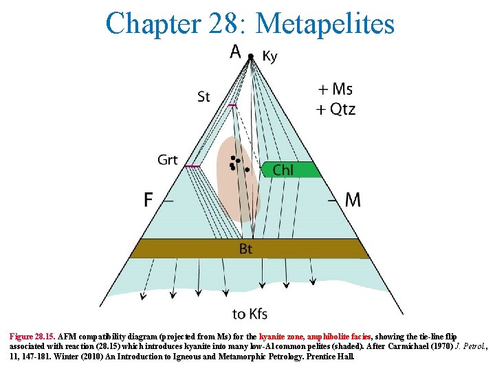 Chapter 28: Metapelites Figure 28. 15. AFM compatibility diagram (projected from Ms) for the