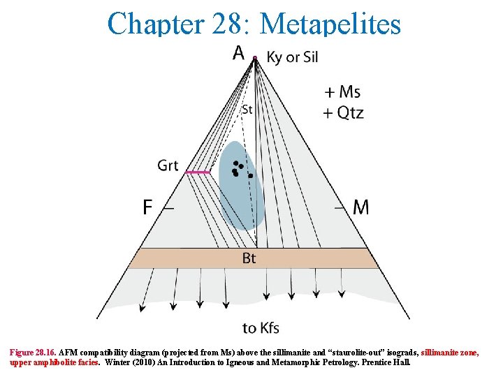 Chapter 28: Metapelites Figure 28. 16. AFM compatibility diagram (projected from Ms) above the