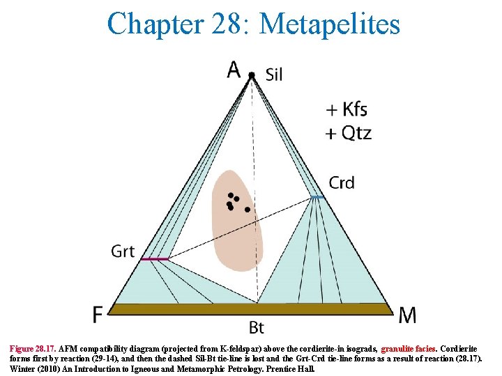 Chapter 28: Metapelites Figure 28. 17. AFM compatibility diagram (projected from K-feldspar) above the