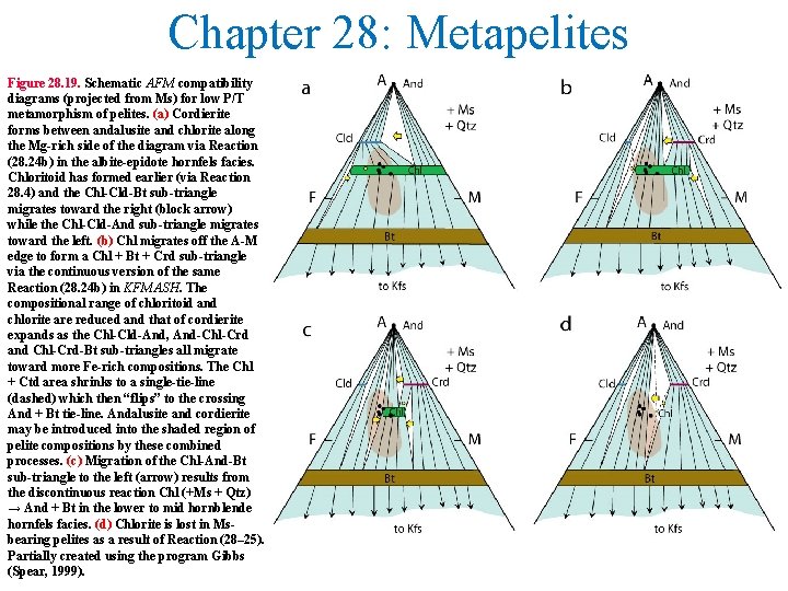 Chapter 28: Metapelites Figure 28. 19. Schematic AFM compatibility diagrams (projected from Ms) for
