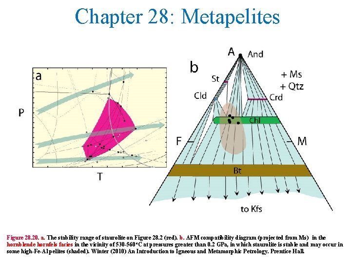 Chapter 28: Metapelites Figure 28. 20. a. The stability range of staurolite on Figure