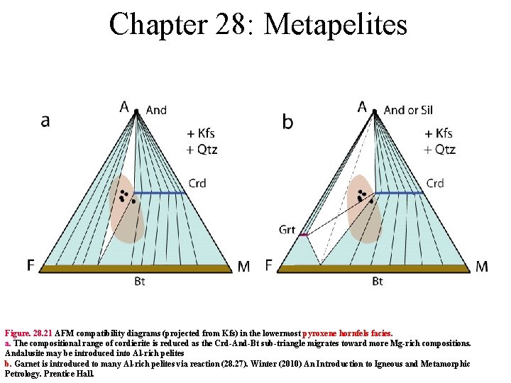 Chapter 28: Metapelites Figure. 28. 21 AFM compatibility diagrams (projected from Kfs) in the