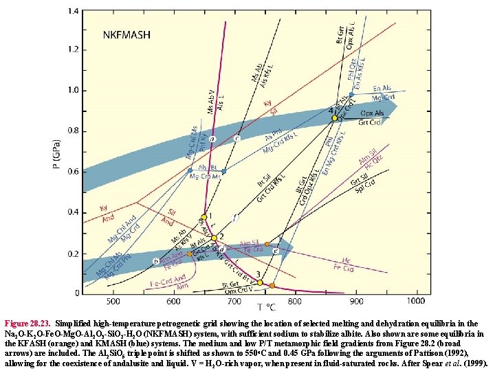 Figure 28. 23. Simplified high-temperature petrogenetic grid showing the location of selected melting and