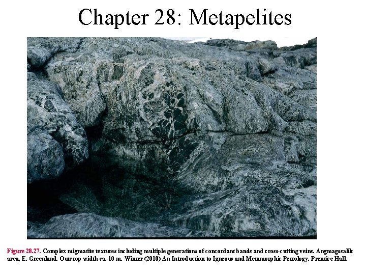 Chapter 28: Metapelites Figure 28. 27. Complex migmatite textures including multiple generations of concordant