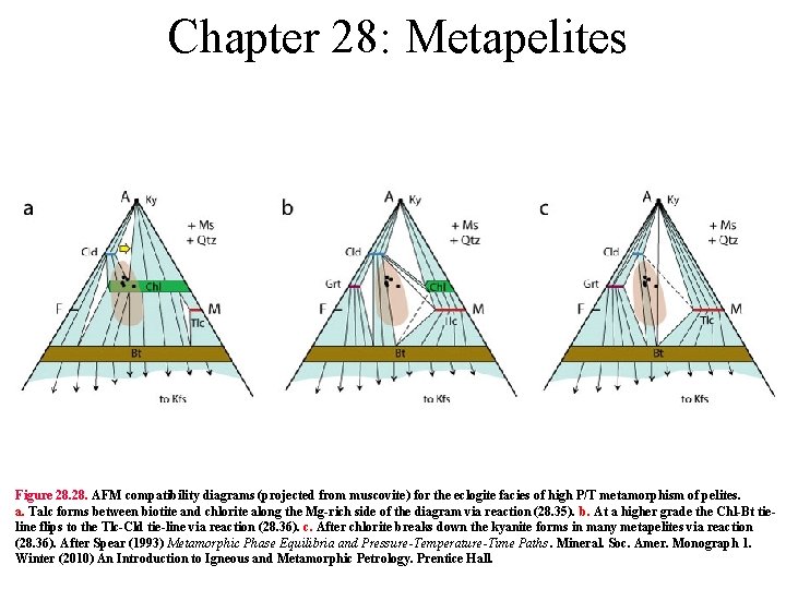 Chapter 28: Metapelites Figure 28. AFM compatibility diagrams (projected from muscovite) for the eclogite