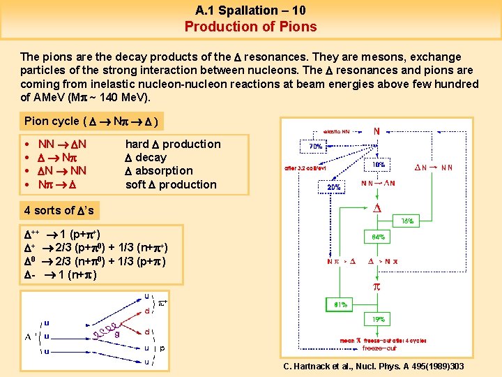 A. 1 Spallation – 10 Production of Pions The pions are the decay products