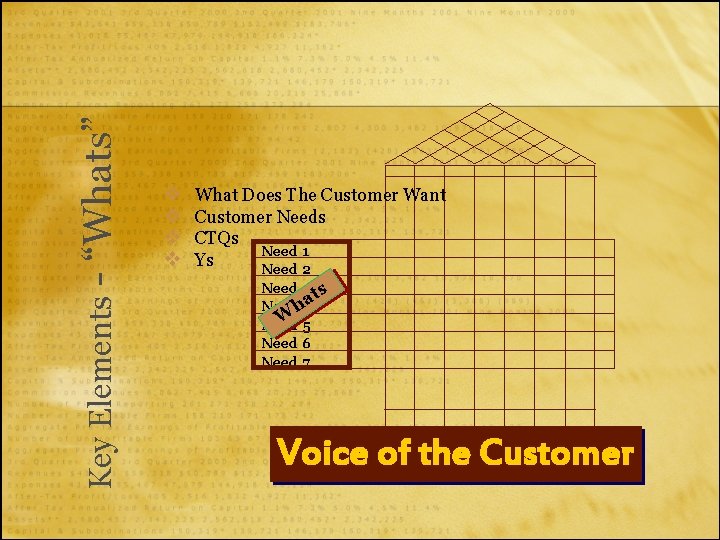 - “Whats” Key Elements v v What Does The Customer Want Customer Needs CTQs